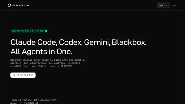Blackbox AI